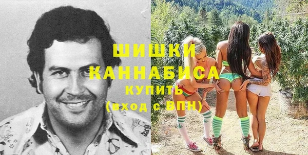 spice Бугульма