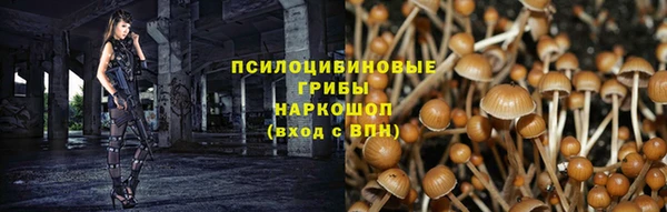 spice Бугульма